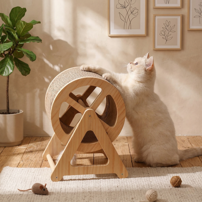 드리피 무한회전 물레방아 롤링 스크래쳐 고양이 장난감 캣휠, 1개, 혼합색상