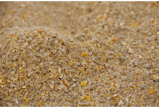 미니메추리 산란사료 산란기 설사감소 면역력 강화 굵은 옥수수입자 사료 대용량 20kg, 1개