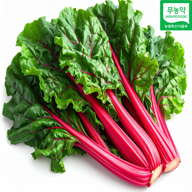 무농약 적근대 국내산 모듬쌈 샐러드 쌈채소 친환경 당일수확, 1박스, 1kg