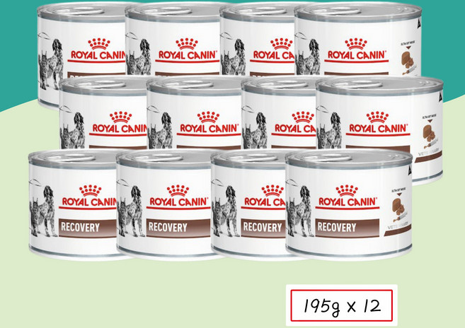 로얄캐닌 리커버리 캔 강아지 고양이 치료회복기 습식 195g X 12개