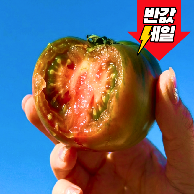 [파격초특가] 딱100명만 부산직송 단짠단짠 대저토마토, 1개, 2.5kg (L)