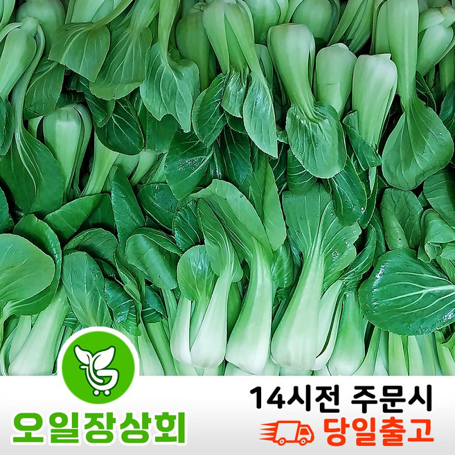 오일장 상회 국내산 청경채 상 등급 4KG 8KG 내외, 1박스