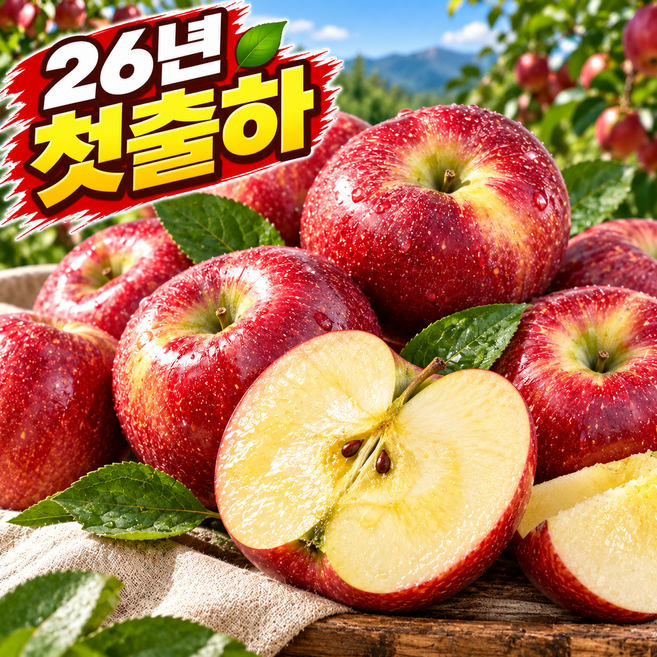 6위 - [2주특가] 첫수확 고당도 문경 감홍사과, 1박스, [특상품] 감홍사과 중대과 5kg