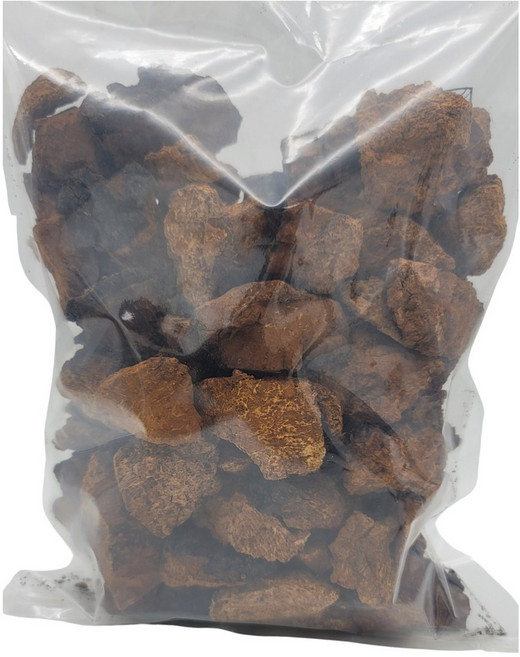 [러시베리] 차가버섯 조각 2540 : 실속형 세척-저온건조-가공(25~40mm) 명품 차가버섯, 500g, 1개