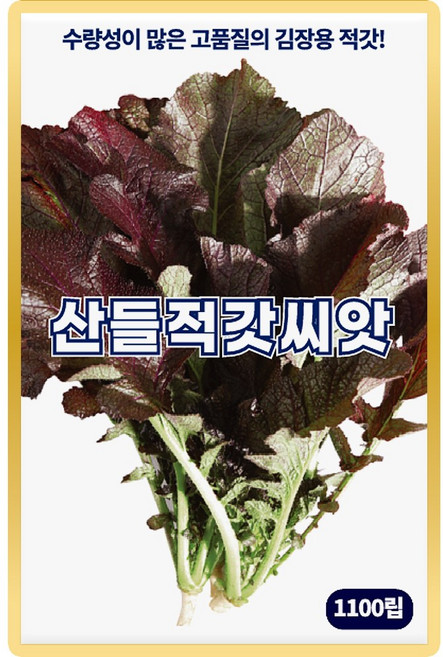 산들 적갓씨앗 1100립 수량성 많고 김장용 소량 적갓씨 종자, 1개