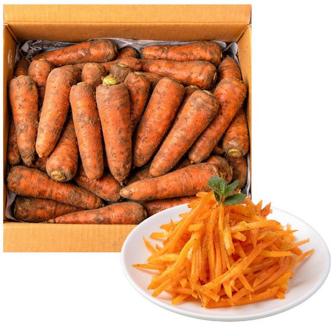 당일발송 제주도 햇 구좌당근, 1개, 중품 5kg