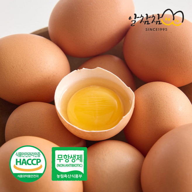알참참 HACCP 무항생제 특란 신선한 계란 생란, 1개, 20구