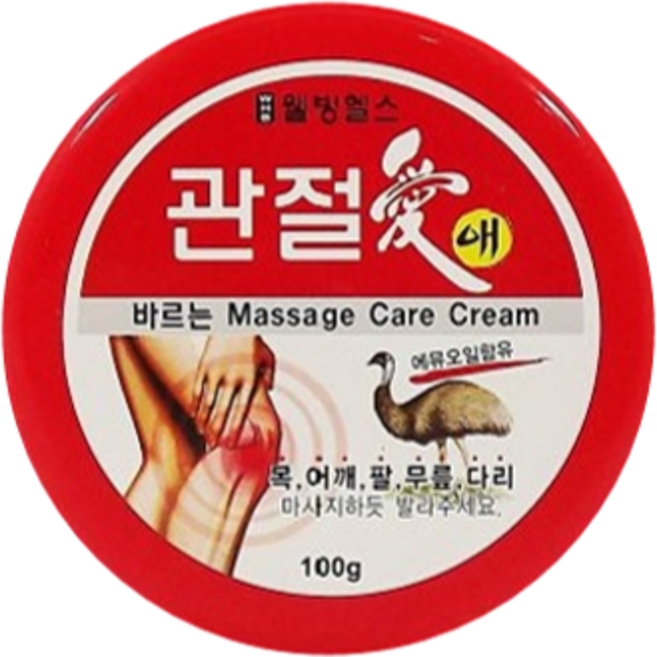 웰빙헬스 관절애 마사지크림 100g, 10개