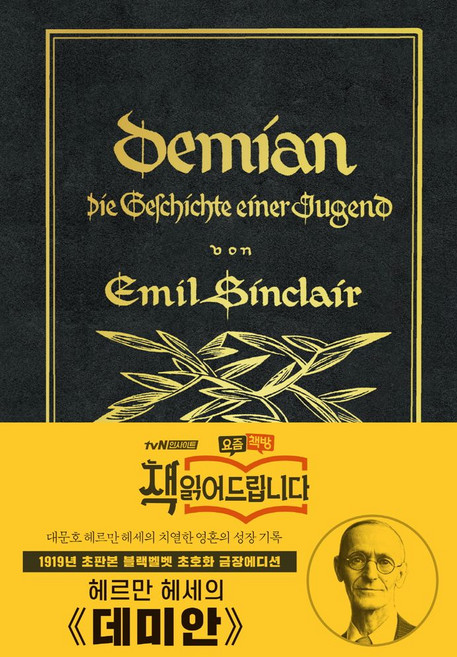 데미안(리커버 한정판):1919년 초판본 블랙벨벳 초호화 금장 에디션, 더스토리, 데미안(리커버 한정판), 헤르만 헤세(저) / 이순학(역), 헤르만 헤세 저/이순학 역
