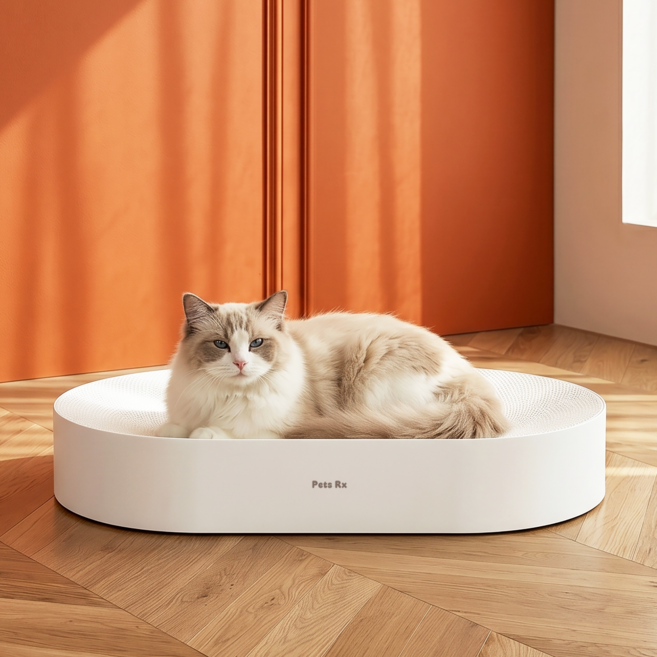 펫츠알엑스 빅사이즈 평판형 위드보드 스크래쳐, 1개, 올 화이트