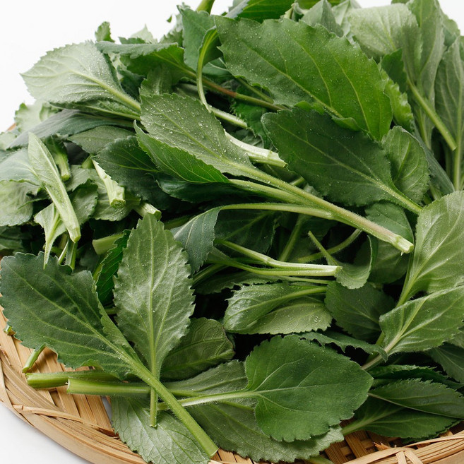 국내산 취나물 특품 당일경매, 1개, 600g