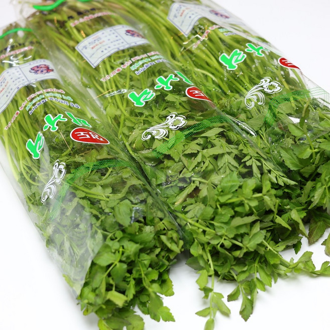 신도리 청도 밭 미나리, 1개, 1kg