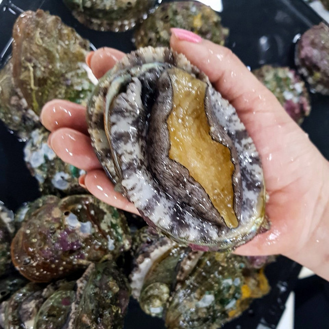 [신안 완도] 패류의 황제 활 전복1kg(18미/10미/6~7미) 산소포장, 1kg 10미, 1박스