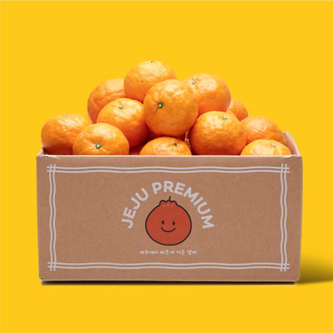 더모닝제주 카라향 만다린 감귤 고당도 제철과일 산지직송 가정용 선물용 1.8kg 2.5kg 4.5kg 9kg, 1개, 가정용 소중과 혼합 4.5kg