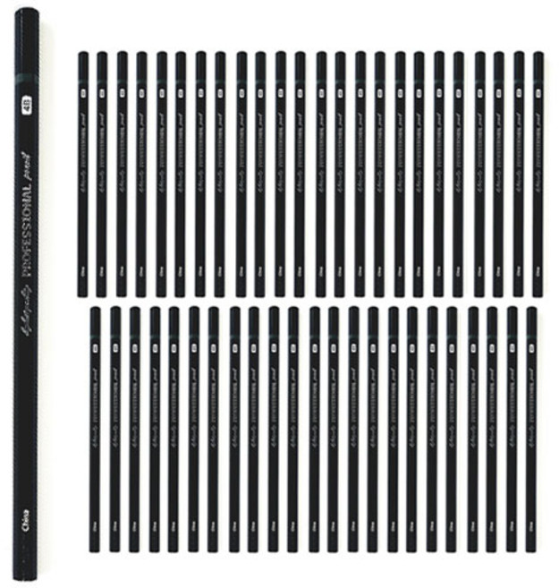 4B연필 전문가용 미술용두꺼운심, 48개