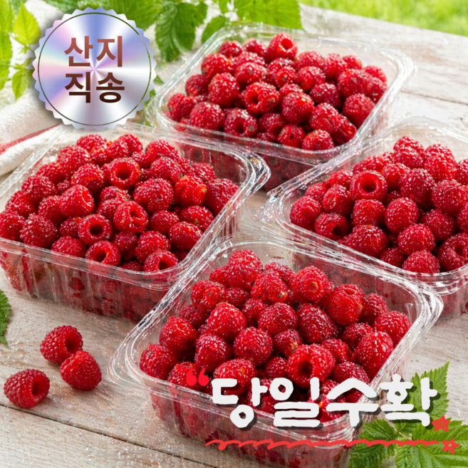 [당일수확/산지직송] 김해 산딸기 생과 고당도 프리미엄 1세트, 1개, 1KG(250G*4팩)