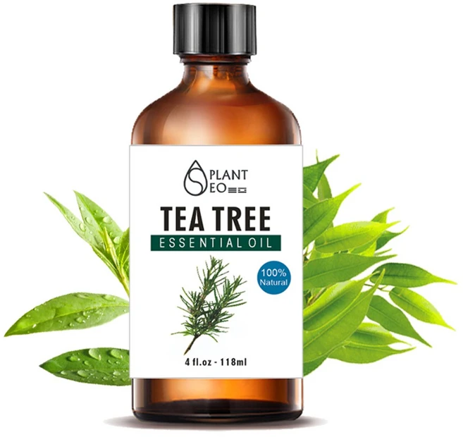 닥터월드 뷰티 아로마 에센셜오일 118ml 대용량, 뷰티 티트리 에센셜오일 118ml - 쿠팡