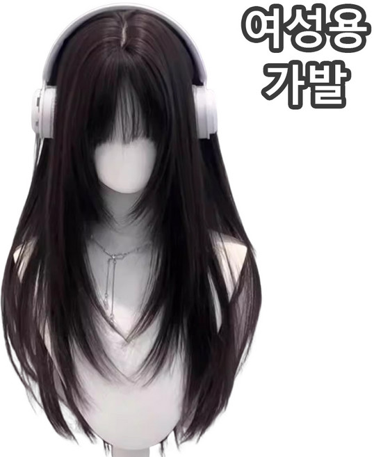 브이 라인 롱 스트레이트 가발 시스루 뱅 스타일 헤어 액세서리, 1개, Black