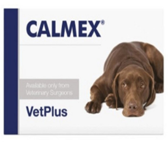 벳플러스 칼멕스 칼맥스 독 강아지 스트레스완화 행동문제 안정보조제 10정 2개, 어덜트