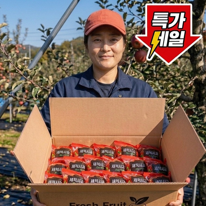 [선착순50박스] 초특가 껍질째먹는 오존수 세척사과, 1박스, 5kg