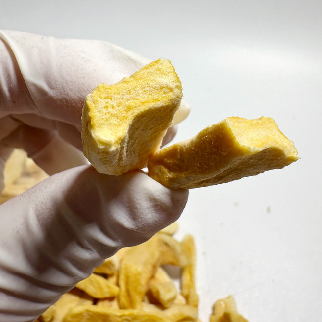 장수왕 망고칩 망고100% /동결건조 과일칩 야채칩 건조망고 건망고 간식, 500g, 1개