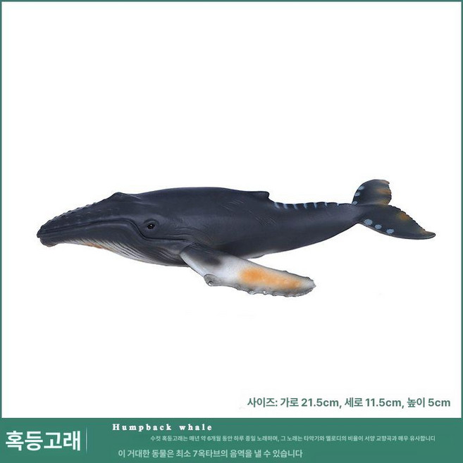 슈버 동물 모형 바다 생물 소품 황새치 장식품 피규어, 혹등고래, 1개