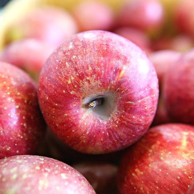 [정품 13Brix이상] 고당도 강원 고랭지사과 중과, 1박스, (100박스 한정)  강원 고랭지사과(중과) 3kg