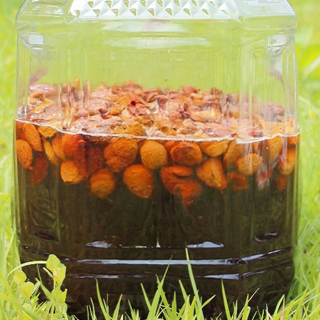 해송농원 국내산 효소 개복숭아 담근청, 1박스, 10kg