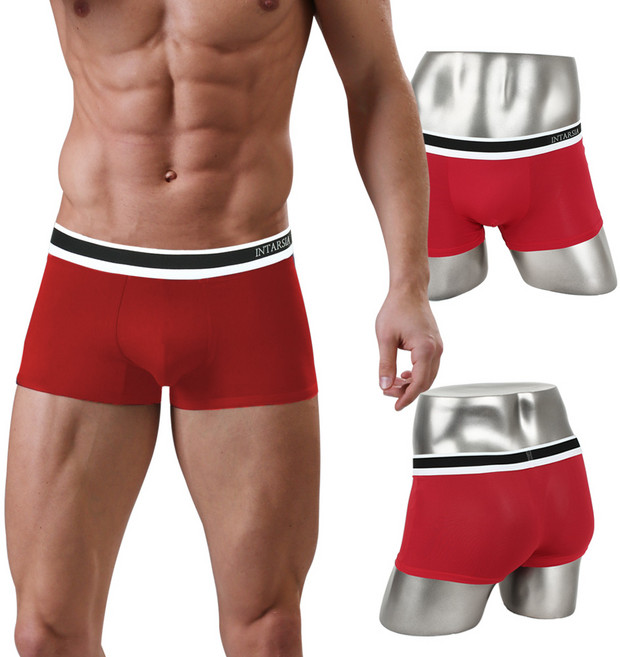 인따르시아 빅사이즈 라인 드로즈 팬티 2종