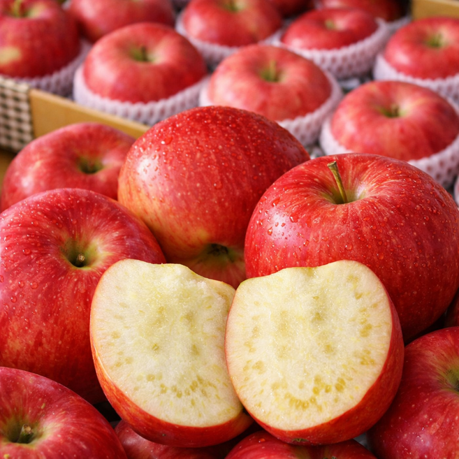 [딱3일만70%할인] 충주 씻겨나온 꿀고당도 햇 부사 사과 5KG 대과, 1박스