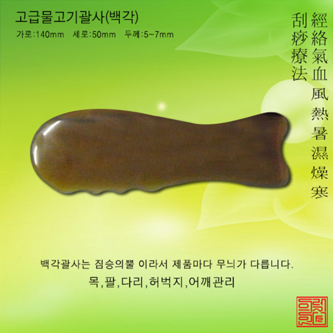 렉스모아 천연물소뿔괄사 50여가지 모음, 백각물고기괄사, 1개