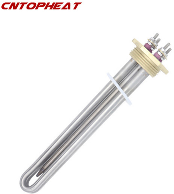 12V 가열 요소 600W 1/4" BSP DN32 수중 히터 DC 요소(서모스탯 튜브 포함), 01 Heater Only