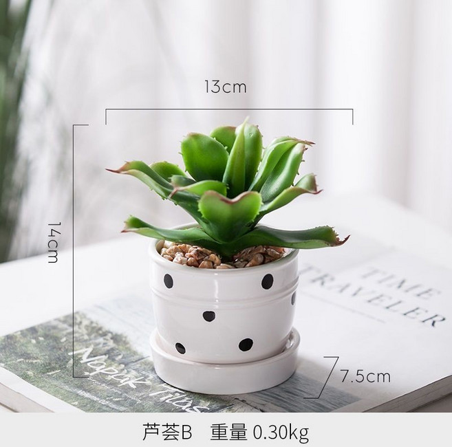 北歐仿真綠色植物多肉小盆栽，帶花僊人柱裝飾擺件, 1個, 蘆薈B款盆栽