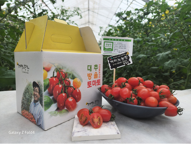 맛가득 프리미엄 일반 대추방울토마토750g, 1개, 750g