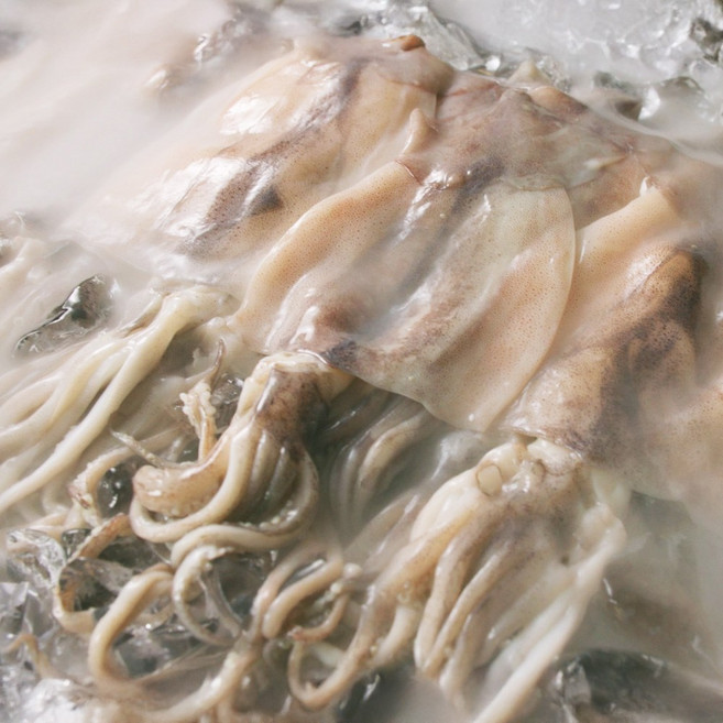 청해대왕 자연산 손질 통오징어 아이큐샵 통오징어, 1세트, 12미