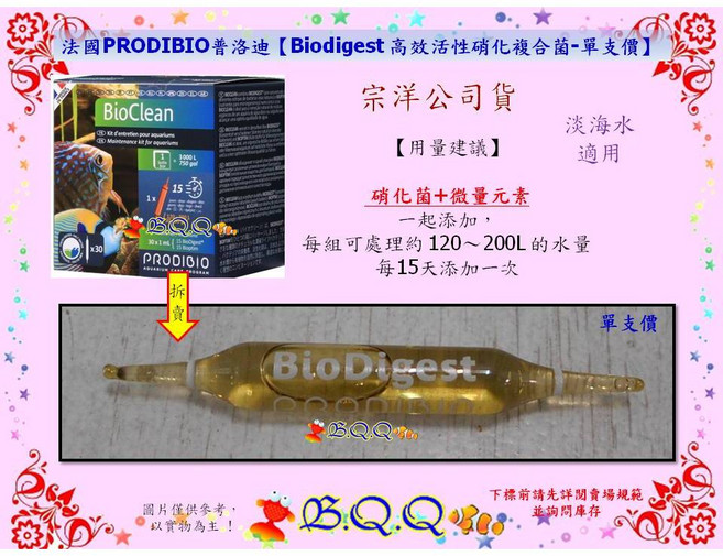 PRODIBIO Biodigest 高效活性硝化複合菌 單支價, 1個, Biodigest活性硝化複合菌-單支