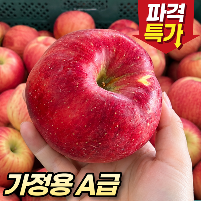 [실속특가] 산지직송 가정용A급 꿀맛 사과, 1박스, 10kg