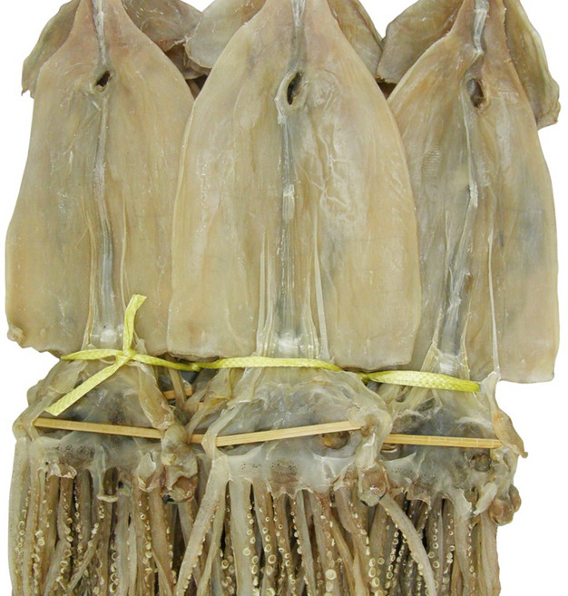 건어물천국 마른오징어 특대10마리 건조오징어, 10마리 1.0kg, 1개