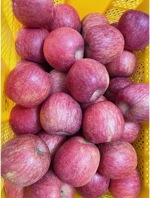 산지직송/고당도 경북 부사 사과 가정용 중대과 1kg~10kg, 중과10kg