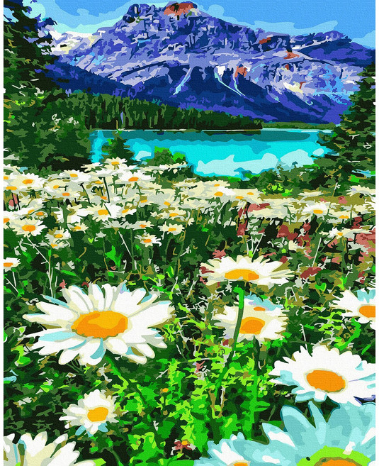 대형 명화 그리기 DIY 60X75cm 유화 캔버스 세트 거실 인테리어 그림 150종, H.풍경, H019.호수와데이지, 1개, H019.호수와데이지