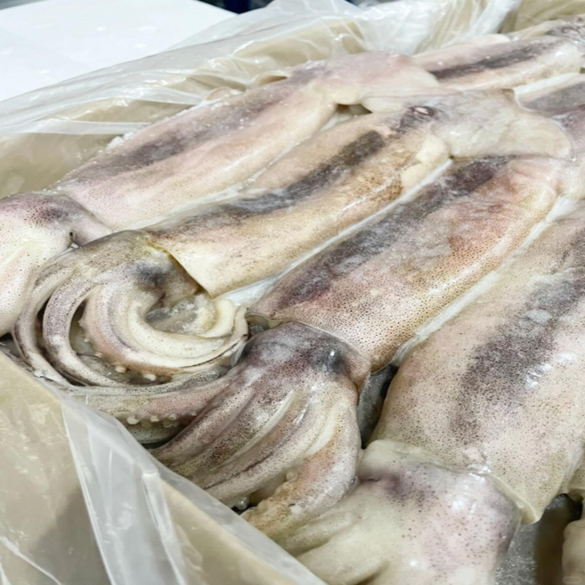 [단골주마켓] 구룡포 손질 통오징어 국내산 대용량 손질완료/ 2미 4미 / 해동즉시조리 에어프라이어 /가정 업소용 냉동오징어, 1개, 2미 500g x 2팩