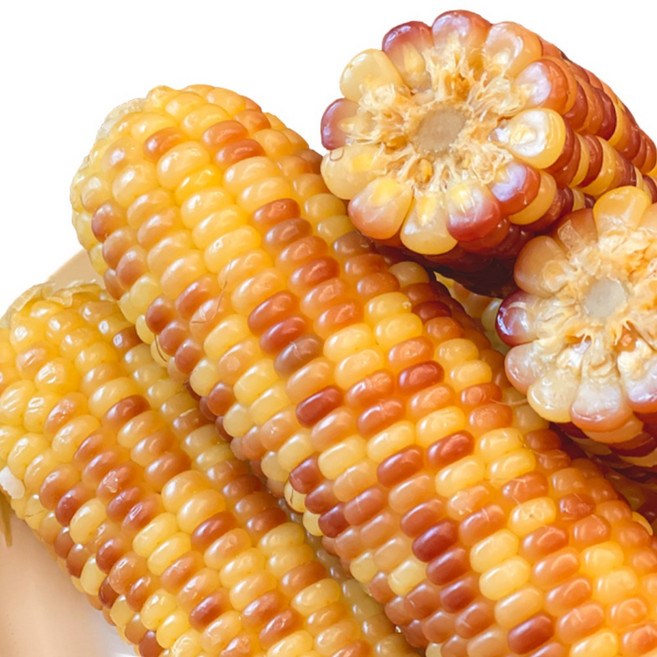 푸드지 손질세척 담백한 홍찰 옥수수, 30개