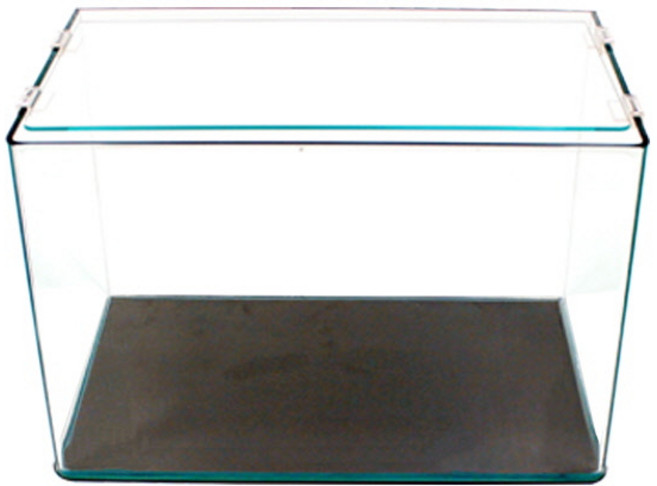 레인보우 라운드 40, 1개