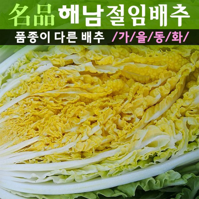 프리미엄품종 산지직송 해수절임배추 GAP인증 명품해남절임배추 20kg (11월6일부터 출하됩니다), 1개, 01-30(금) 도착, 해남절임배추