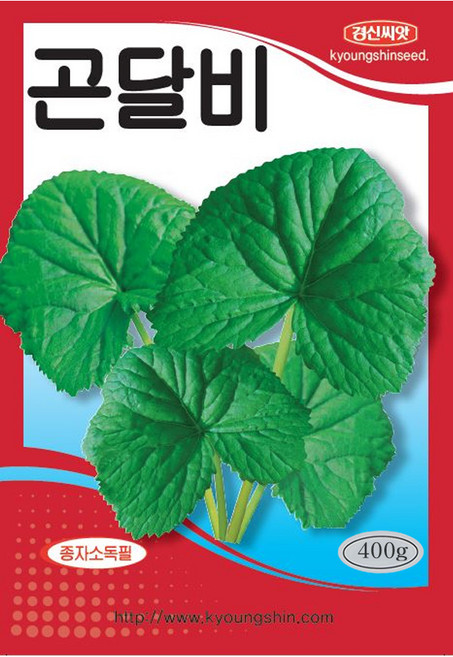 경신종묘 곤달비씨앗 곤달비 400g, 1개