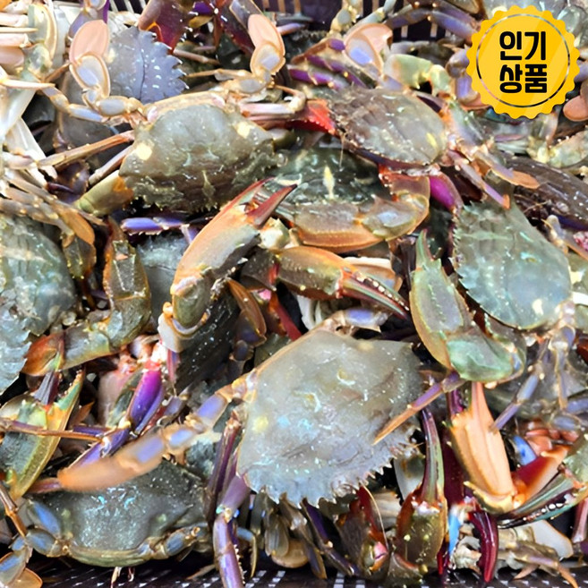 국내산 싱싱한 제철 자연산 활 돌게 박하지 민꽃게, 1개, 1kg