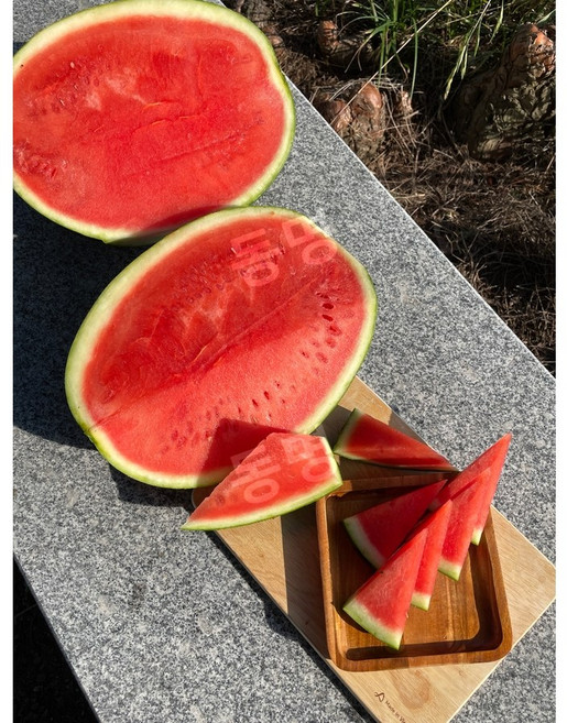 씨드리스 수박 씨없는 고당도 꿀 수박 임산부 에어쉘 포장, 7kg, 1개