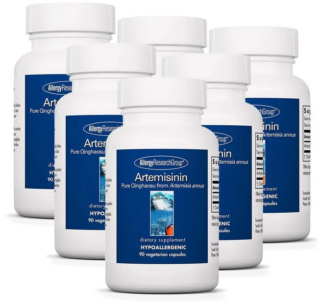알러지리서치그룹 아르테미시닌 캡슐 Allergy Research Group Artemisinin, 6개, 90정 - 쿠팡