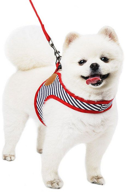 패리스독 베니하우스 이지 심플 하네스 레드 블루 S M L, 레드M