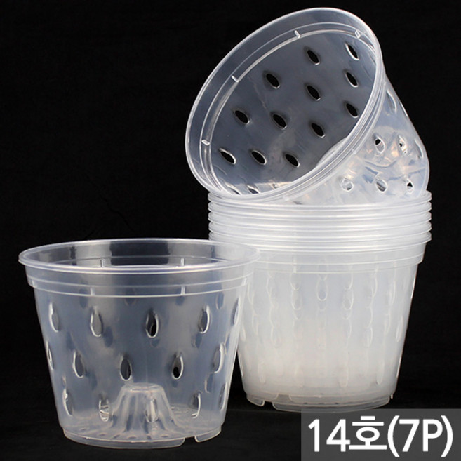 세인화분 빗방울 도트 통기난분 - 화분 투명 난분 난 관엽 슬릿 호접란 동양 포트 플분 플라스틱 란 서양 동양 모종 심기 삽목 분갈이, 02_SEIN_도트 투명화분_14호(7P), 7개, 도트 투명화분
